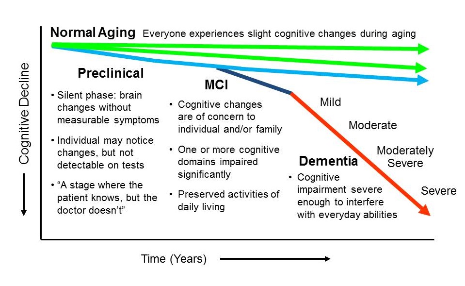 Progression from normal aging to dementia illustration